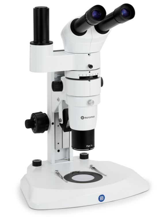 Microscope binoculaire Carl Zeiss Primo Star pour l'enseignement