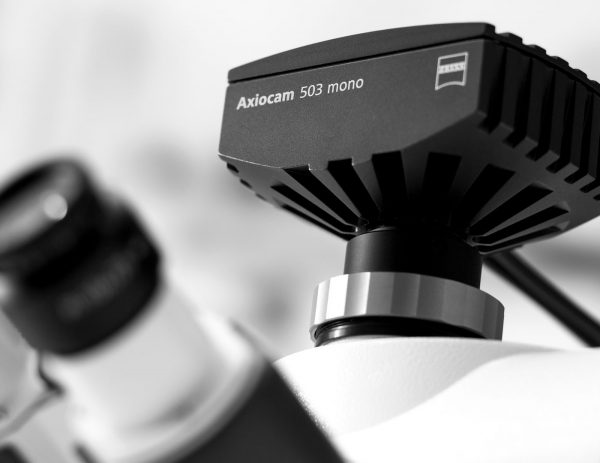 Axiocam 503 mono