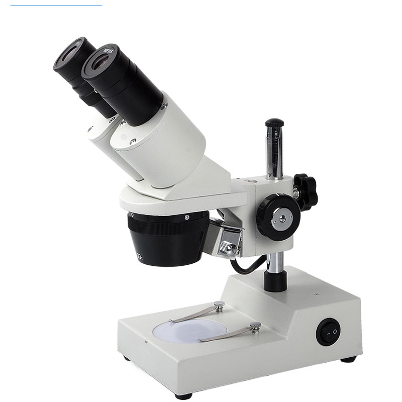 Loupe binoculaire oculaire WF10x , objectif 2x 4x, lumière supérieure