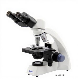 Microscope biologique binoculaire