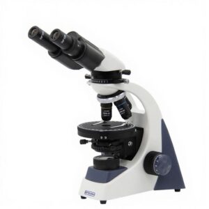 Microscope polarisant binoculaire